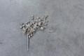 Wadering Star Pin 1