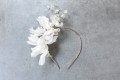 Snowdrop 1