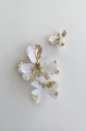 Tuberose