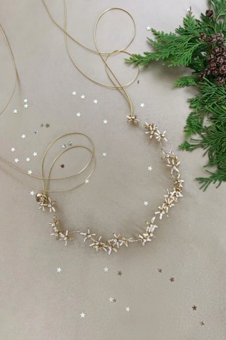 Golden Wandering Star Bridal Wreath