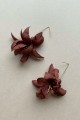 14 Kolczyki Iris Hazelnut 299pln small
