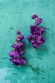 2-Kolczyki-jedwabne-kwiaty-Echo-Ultra-Violet-silk-flowers-Earrings-499pln