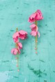 25-Kolczyki-jedwabne-kwiaty-dlugie-lancuszki-koral-Anemone-Honeysuckle-silk-flowers-long-chains-coral-Earrings-479pln