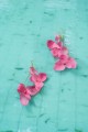 24-Kolczyki-jedwabne-kwiaty-Zephyr-Honeysuckle-silk-flowers-teardrop-Earrings-399pln