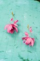 31-Kolczyki-jedwabne-kwiaty-Fuchsia-Honeysuckle-silk-flowers-Earrings-399pln